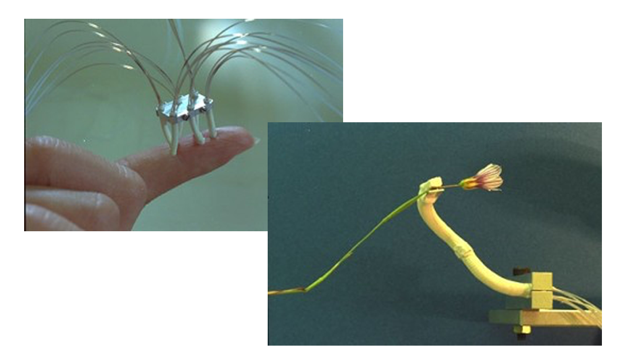 Fluidic Microactuator